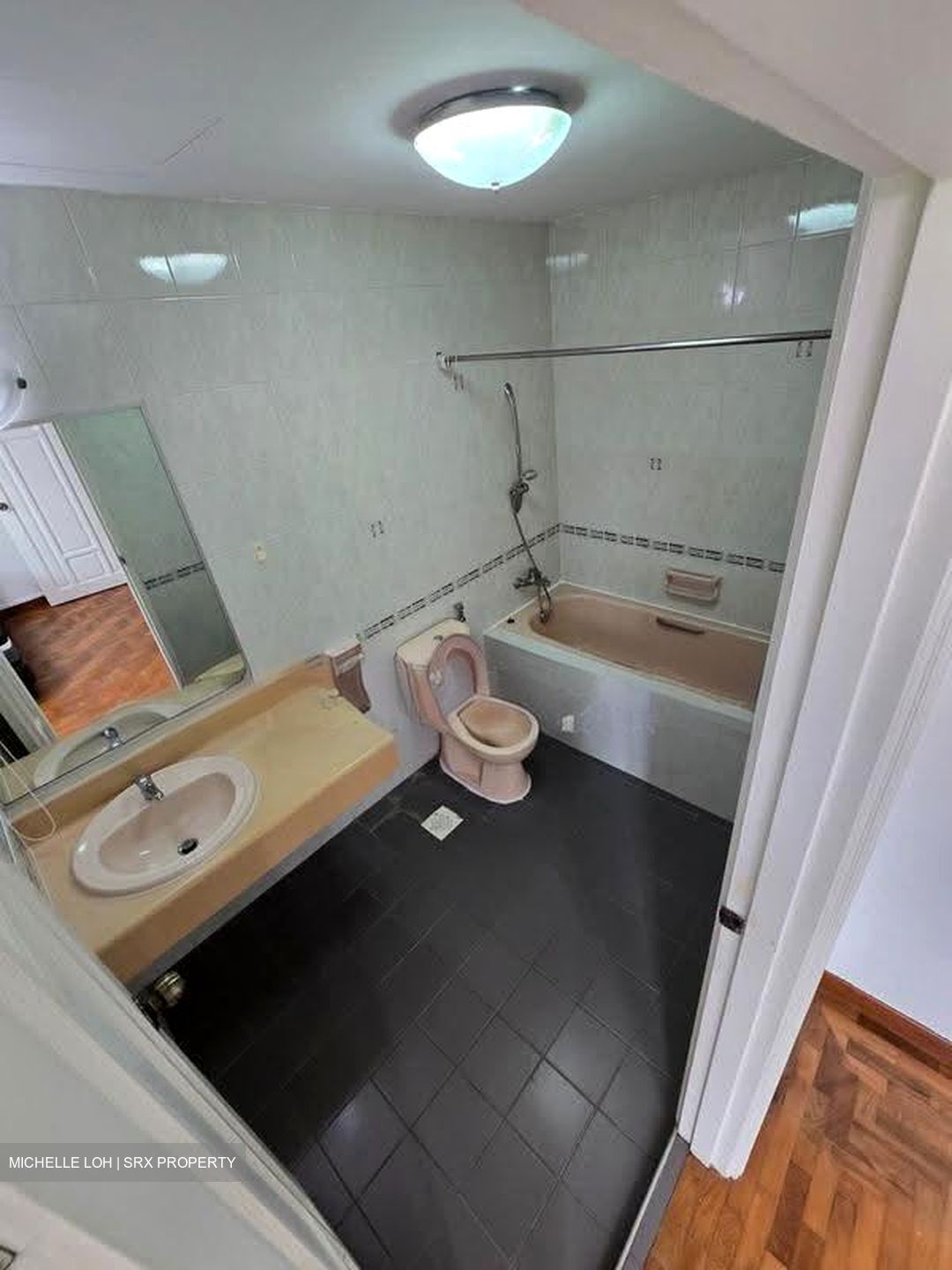Versailles (D15), Condominium #628848251